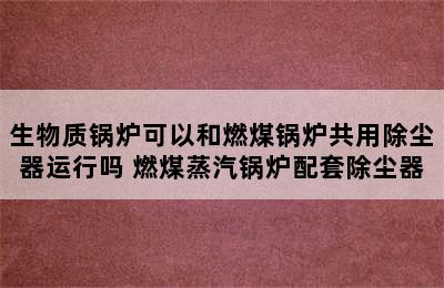 生物质锅炉可以和燃煤锅炉共用除尘器运行吗 燃煤蒸汽锅炉配套除尘器